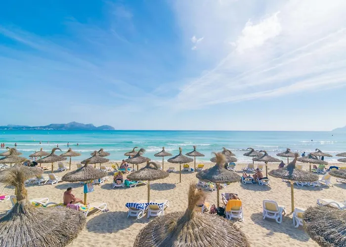 Confit Can Picafort (Mallorca)